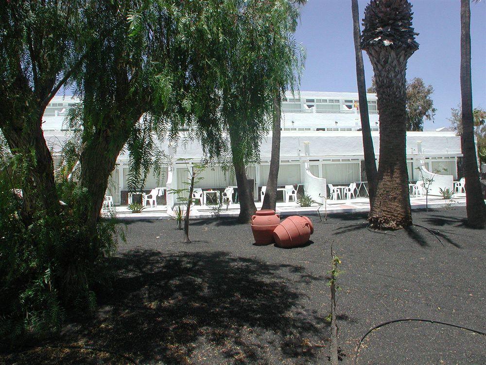 Orly Club Arena Dorada Puerto del Carmen (Lanzarote)